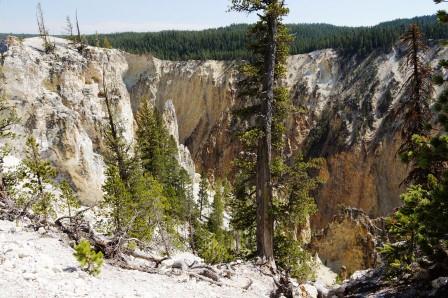 Yellowstone Canyon